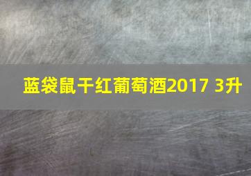 蓝袋鼠干红葡萄酒2017 3升